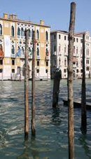 La Biennale de Venise 2013